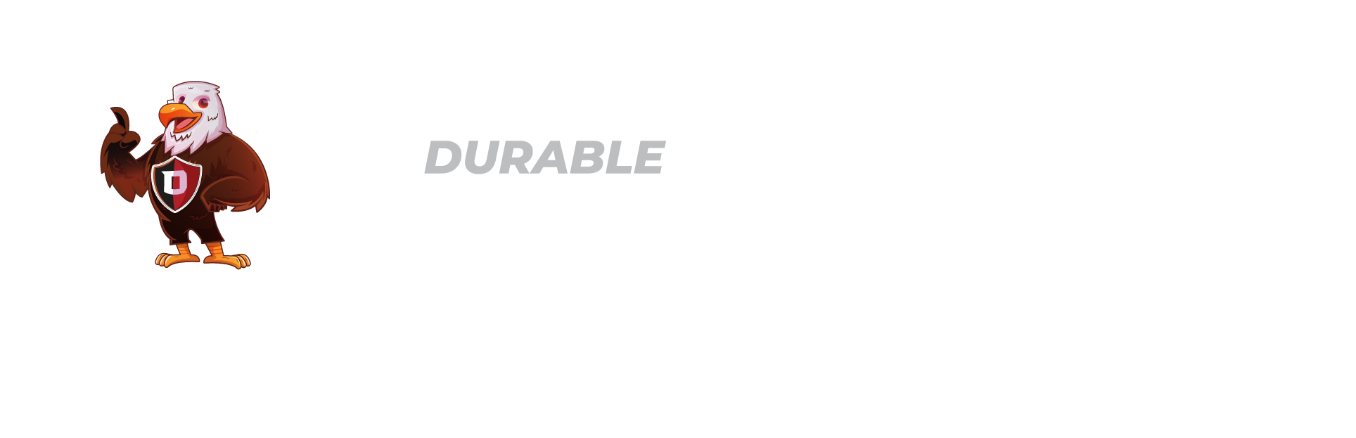 The Durable Company Introduction